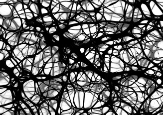 neuronas-cerebrales